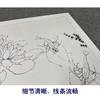 【有步骤、大彩图】郑玲玲工笔画白描底稿《虾趣图》荷花大虾初学者临摹花鸟线稿ZL49 商品缩略图4
