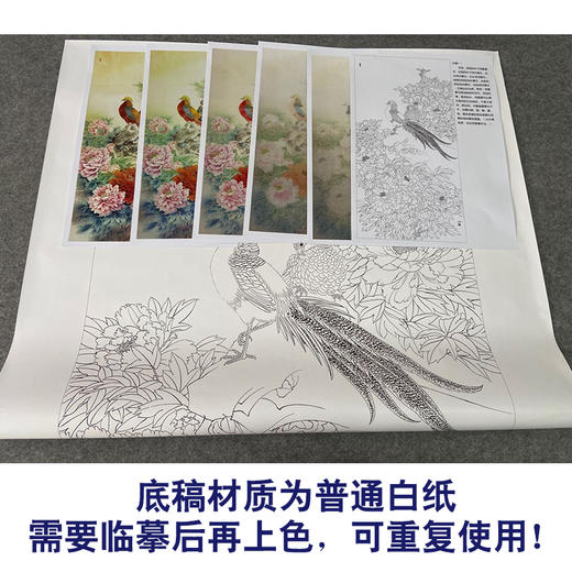 【有步骤、大彩图】郑玲玲工笔画白描底稿《 锦羽祥瑞》锦鸡牡丹初学者临摹花鸟线稿ZL97 商品图3