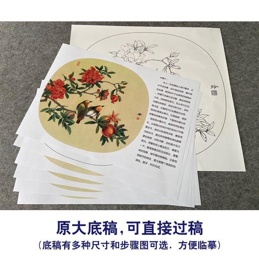 【有步骤、大彩图】郑玲玲工笔画白描底稿小品《逸韵悠然》石榴初学者临摹花鸟线稿ZL86 商品图1
