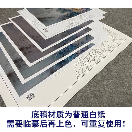【有步骤、大彩图】郑玲玲工笔画白描底稿小品《静谧梦里》红腹锦鸡初学者临摹花鸟线稿ZL60 商品图3