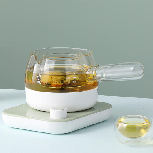 鸣盏煮茶器养生壶办公室多功能全自动小型迷你玻璃煮茶壶电热茶炉 商品图5
