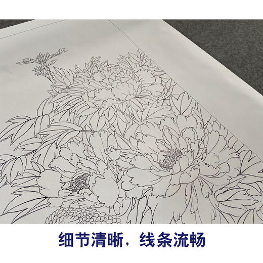 【有步骤、大彩图】郑玲玲工笔画白描底稿《 锦羽祥瑞》锦鸡牡丹初学者临摹花鸟线稿ZL97 商品图4