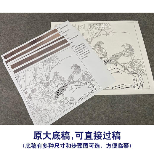 【有步骤、大彩图】郑玲玲工笔画白描底稿小品《林间依恋》竹林锦鸡初学者临摹花鸟线稿ZL61 商品图1