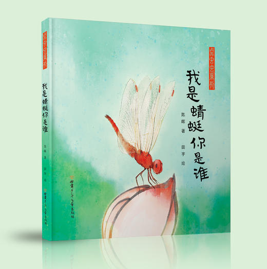 点虫虫系列—我是蜻蜓你是谁、小蚂蚁们忙什么、蝴蝶你要去哪里 商品图2