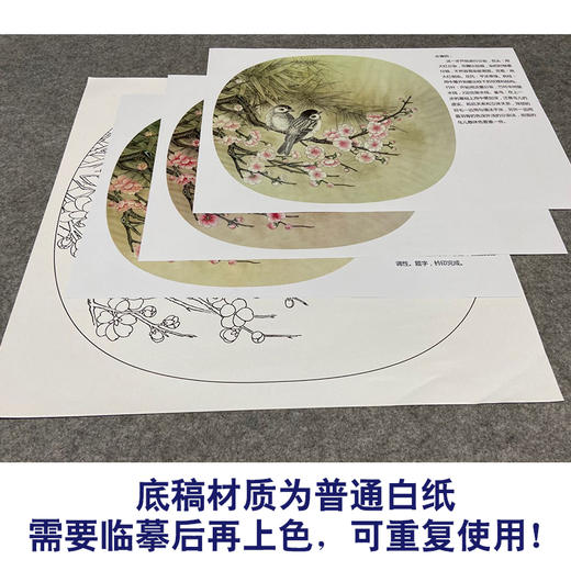 【有步骤、大彩图】郑玲玲工笔画白描底稿小品《梅花家雀》初学者临摹花鸟线稿ZL74 商品图3