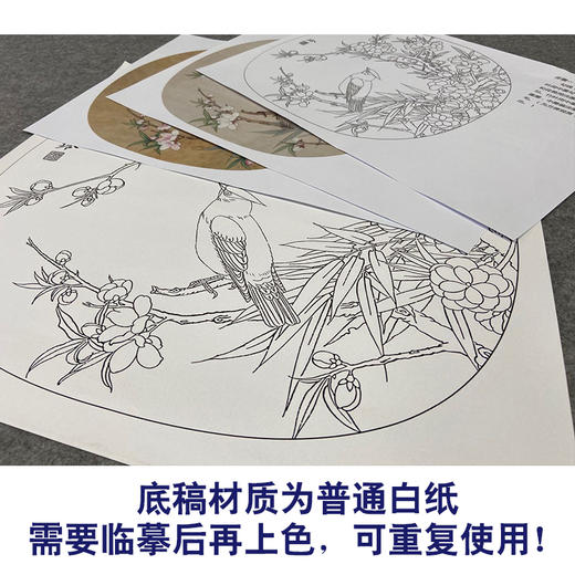 【有步骤、大彩图】郑玲玲工笔画白描底稿小品《太平桃花图》初学者临摹花鸟线稿ZL71 商品图3