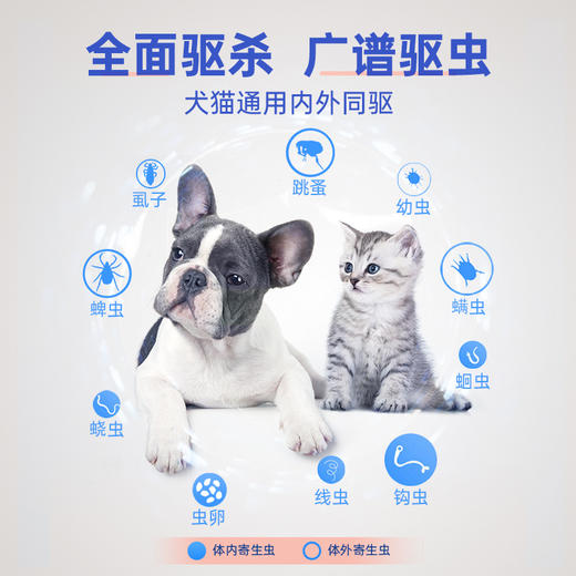 新宠之康 犬用猫用外驱 非泼罗尼滴剂 一盒3支  狗狗驱虫药 商品图6