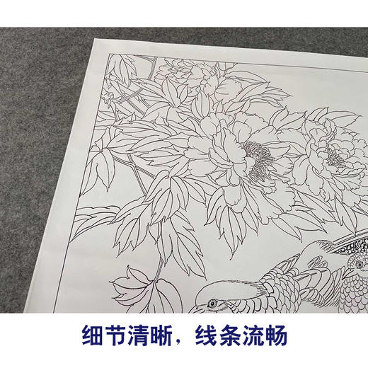 【有步骤、大彩图】郑玲玲工笔画白描稿《锦羽春晖》牡丹锦鸡初学者临摹花鸟线稿ZL54 商品图4