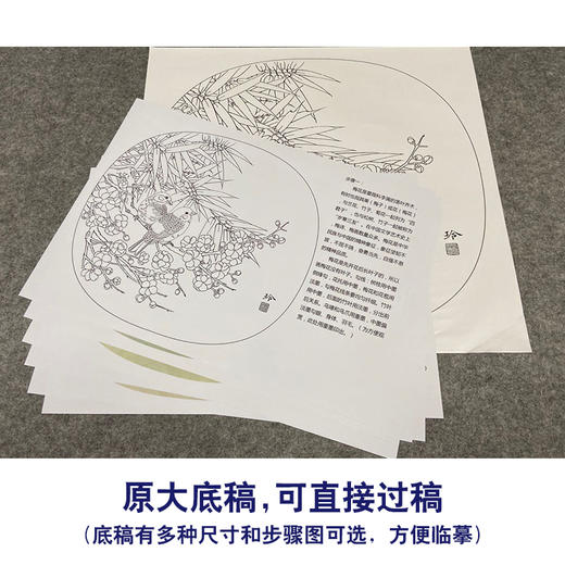 【有步骤、大彩图】郑玲玲工笔画白描底稿小品《梅花家雀》初学者临摹花鸟线稿ZL74 商品图1