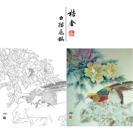 【有步骤、大彩图】郑玲玲工笔画白描稿《锦羽春晖》牡丹锦鸡初学者临摹花鸟线稿ZL54 商品图0