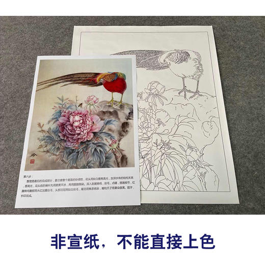 【有步骤、大彩图】郑玲玲工笔画白描底稿《聆听花语》牡丹锦鸡初学者临摹花鸟线稿ZL55 商品图2