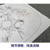 【有步骤、大彩图】郑玲玲工笔画白描底稿小品《硕实》石榴初学者临摹花鸟线稿ZL85 商品缩略图4
