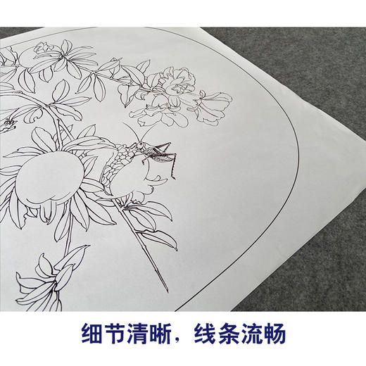 【有步骤、大彩图】郑玲玲工笔画白描底稿小品《硕实》石榴初学者临摹花鸟线稿ZL85 商品图4