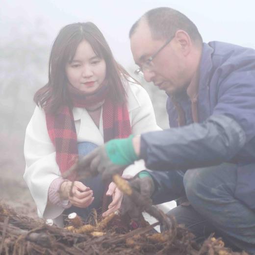 【2025新上市】【云端上的有机雪山山药】冰激凌般软糯香软 连续9年通过有机认证 生长在雅安宝兴2300米海拔的夹金山上，来之不易的高端食材 商品图7