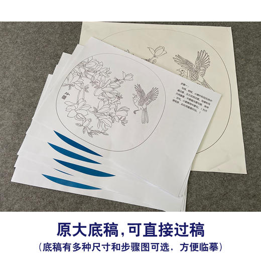 【有步骤、大彩图】郑玲玲工笔画白描底稿小品《逐争春色》玉兰花初学者临摹花鸟线稿ZL66 商品图1