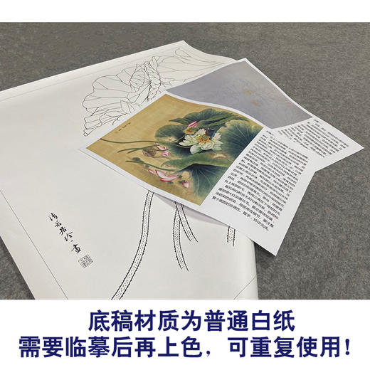 【有步骤、大彩图】郑玲玲工笔画白描底稿斗方小品《晨露碧荷语无声》荷花初学者临摹花鸟线稿ZL88 商品图3