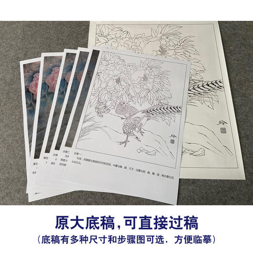 【有步骤、大彩图】郑玲玲工笔画白描底稿《花开锦绣》牡丹锦鸡初学者临摹花鸟线稿ZL56 商品图1
