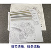 【有步骤、大彩图】郑玲玲工笔画白描底稿《富贵锦长》牡丹锦鸡初学者临摹花鸟线稿ZL59 商品缩略图4