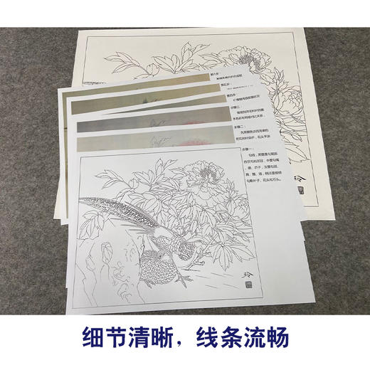 【有步骤、大彩图】郑玲玲工笔画白描底稿《富贵锦长》牡丹锦鸡初学者临摹花鸟线稿ZL59 商品图4