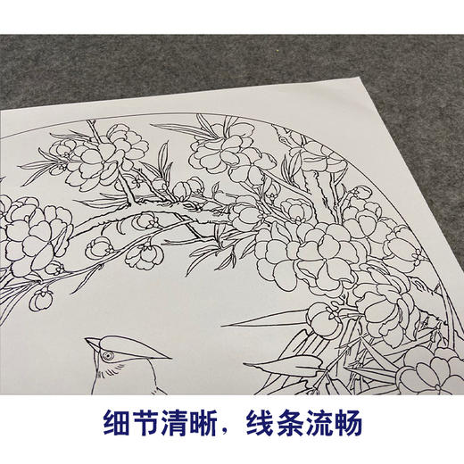 【有步骤、大彩图】郑玲玲工笔画白描底稿小品《太平桃花图》初学者临摹花鸟线稿ZL71 商品图4