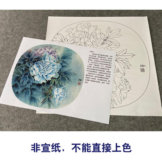 【有步骤、大彩图】郑玲玲工笔画白描稿小品《夜光白牡丹》牡丹初学者临摹花鸟线稿ZL79 商品图2
