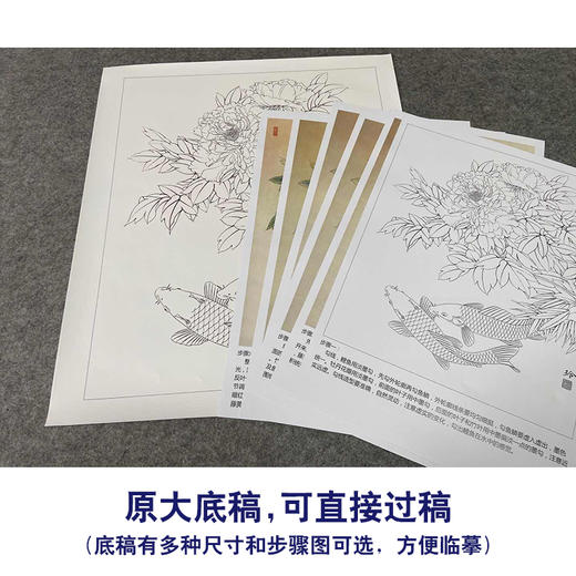 【有步骤、大彩图】郑玲玲工笔画白描底稿《牡丹双锦图》牡丹鲤鱼初学者临摹花鸟线稿ZL51 商品图1