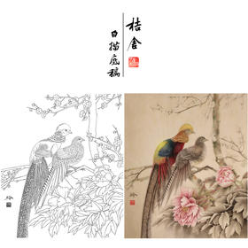 【有步骤、大彩图】郑玲玲工笔画白描底稿《岁月静好》锦鸡图初学者临摹花鸟线稿ZL57