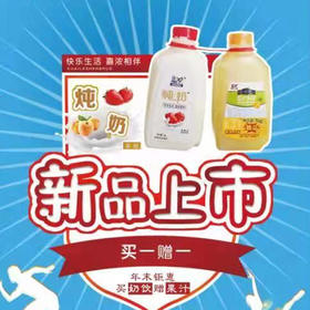 【14.9元/组】嘉浓炖奶酸奶味乳味饮料1kg+菠萝汁1kg（0402880）