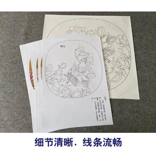 【有步骤、大彩图】郑玲玲工笔画白描底稿小品《玉堂富贵图》玉兰花初学者临摹花鸟线稿ZL65 商品图4