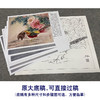 【有步骤、大彩图】郑玲玲工笔画白描底稿小品《锦上添花》牡丹锦鸡初学者临摹花鸟线稿ZL63 商品缩略图1