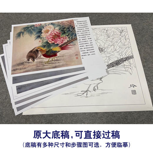 【有步骤、大彩图】郑玲玲工笔画白描底稿小品《锦上添花》牡丹锦鸡初学者临摹花鸟线稿ZL63 商品图1