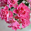 肯尼亚进口花园玫瑰japanese tale日本故事12支 商品缩略图1