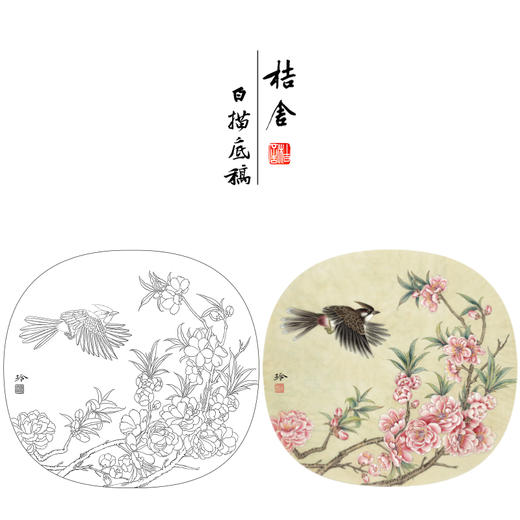 【有步骤、大彩图】郑玲玲工笔画白描底稿小品《春暖花开》桃花初学者临摹花鸟线稿ZL70 商品图0