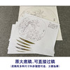 【有步骤、大彩图】郑玲玲工笔画白描底稿小品《静思春意》广玉兰初学者临摹花鸟线稿ZL67 商品缩略图1