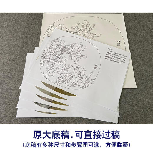 【有步骤、大彩图】郑玲玲工笔画白描底稿小品《静思春意》广玉兰初学者临摹花鸟线稿ZL67 商品图1
