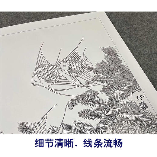 【有步骤、大彩图】郑玲玲工笔画白描底稿《畅游》燕鱼图初学者临摹花鸟线稿ZL48 商品图4