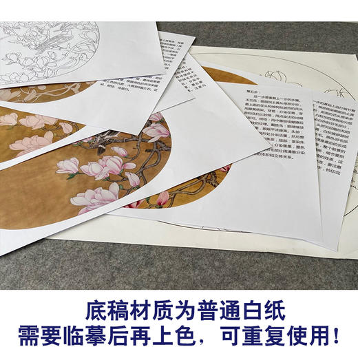 【有步骤、大彩图】郑玲玲工笔画白描底稿小品《玉堂富贵图》玉兰花初学者临摹花鸟线稿ZL65 商品图3