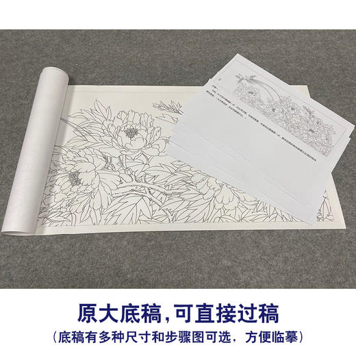 【有步骤、大彩图】郑玲玲横幅工笔画白描底稿《富贵长寿图》牡丹初学者临摹花鸟线稿ZL90 商品图1