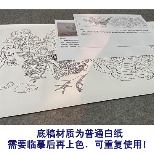 【有步骤、大彩图】郑玲玲横幅工笔画白描底稿《锦绣前程》牡丹锦鸡初学者临摹花鸟线稿ZL91 商品图3