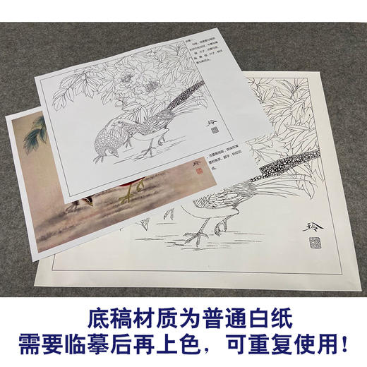 【有步骤、大彩图】郑玲玲工笔画白描底稿小品《锦上添花》牡丹锦鸡初学者临摹花鸟线稿ZL63 商品图3