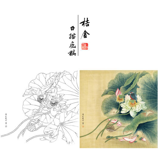 【有步骤、大彩图】郑玲玲工笔画白描底稿斗方小品《晨露碧荷语无声》荷花初学者临摹花鸟线稿ZL88 商品图0
