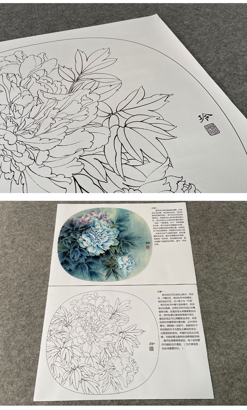 有步骤大彩图郑玲玲工笔花鸟画白描稿夜光白牡丹小品zl79