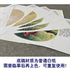 【有步骤、大彩图】郑玲玲工笔画白描底稿小品《雨后新荷》荷花蜻蜓初学者临摹花鸟线稿ZL82 商品缩略图3