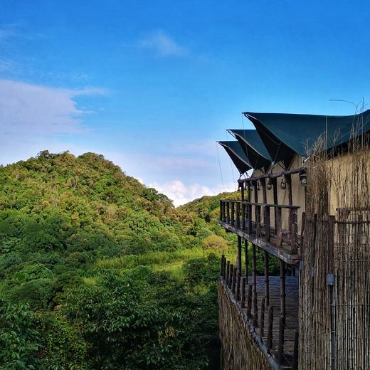 3天2晚【康藤·南方丝绸古道帐篷营地】2026全年可用，节假日不加价！感受树梢上的自然野奢栖居地，享入住期间三餐美食、营地下午茶、高黎贡山徒步、手作活动等，邀你赴一场大自然之约！ 商品图1