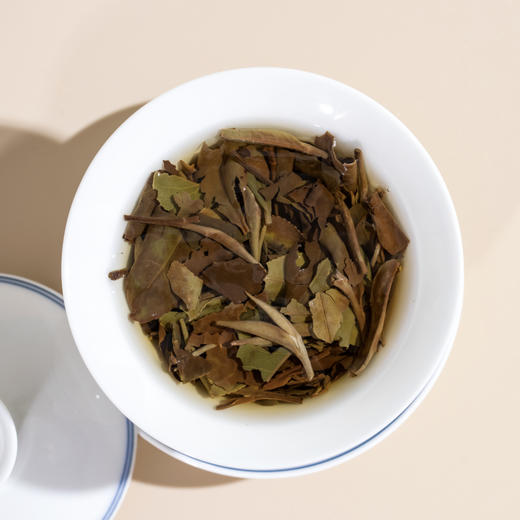 白茶 | 一叶九鼎 2021年 大洋时光 寿眉350g/饼/盒 商品图3