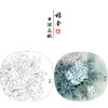 【有步骤、大彩图】郑玲玲工笔画白描稿小品《夜光白牡丹》牡丹初学者临摹花鸟线稿ZL79 商品缩略图0