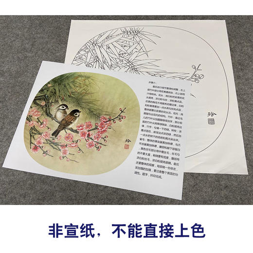 【有步骤、大彩图】郑玲玲工笔画白描底稿小品《梅花家雀》初学者临摹花鸟线稿ZL74 商品图2