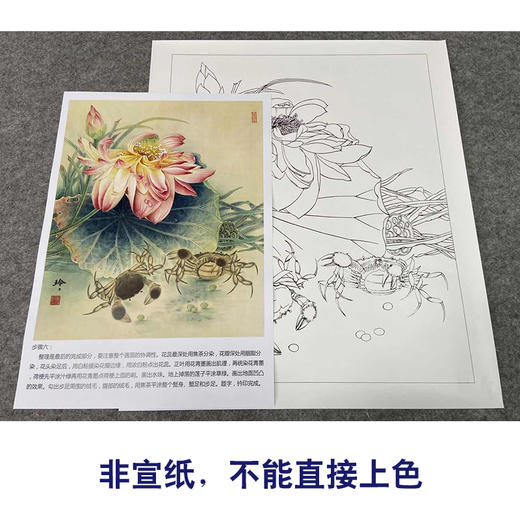 【有步骤、大彩图】郑玲玲工笔画白描底稿《和谐图》荷花螃蟹初学者临摹花鸟线稿ZL50 商品图2