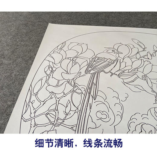 【有步骤、大彩图】郑玲玲工笔画白描底稿小品《静思春意》广玉兰初学者临摹花鸟线稿ZL67 商品图4