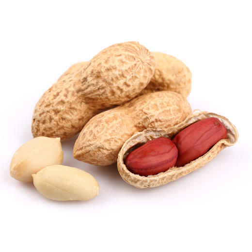 【消费助农】鑫勇泰 秭归县红衣生花生（带壳）500g 商品图2